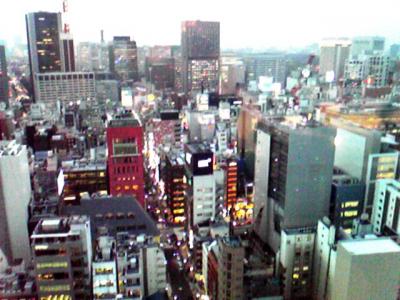 宿の窓から、銀座・資生堂あたり