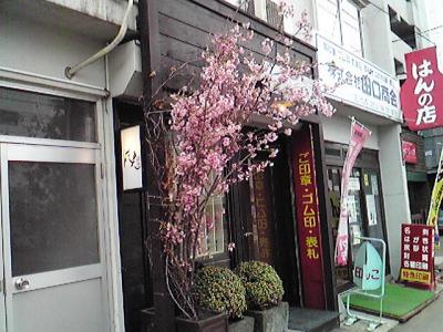 桜がキレイな店構え、佐藤花光さん
