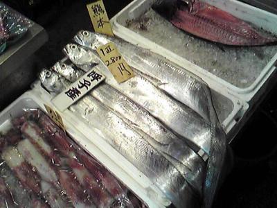 太刀魚。意味はありません。